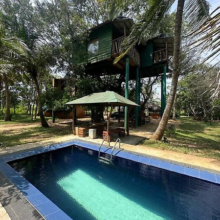 Отель Yala Eco Tree House New Тиссамахарама Экстерьер фото