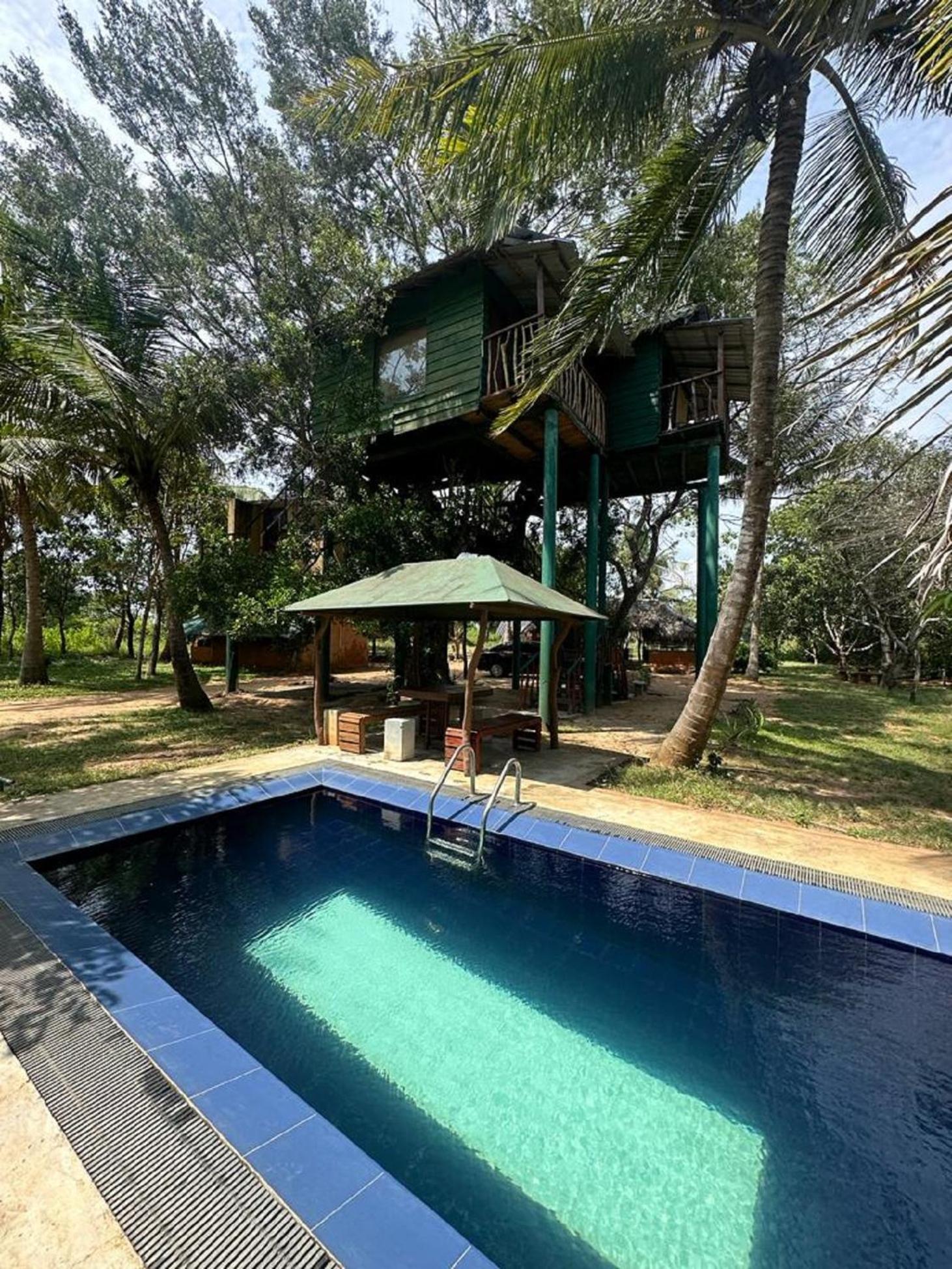 Отель Yala Eco Tree House New Тиссамахарама Экстерьер фото