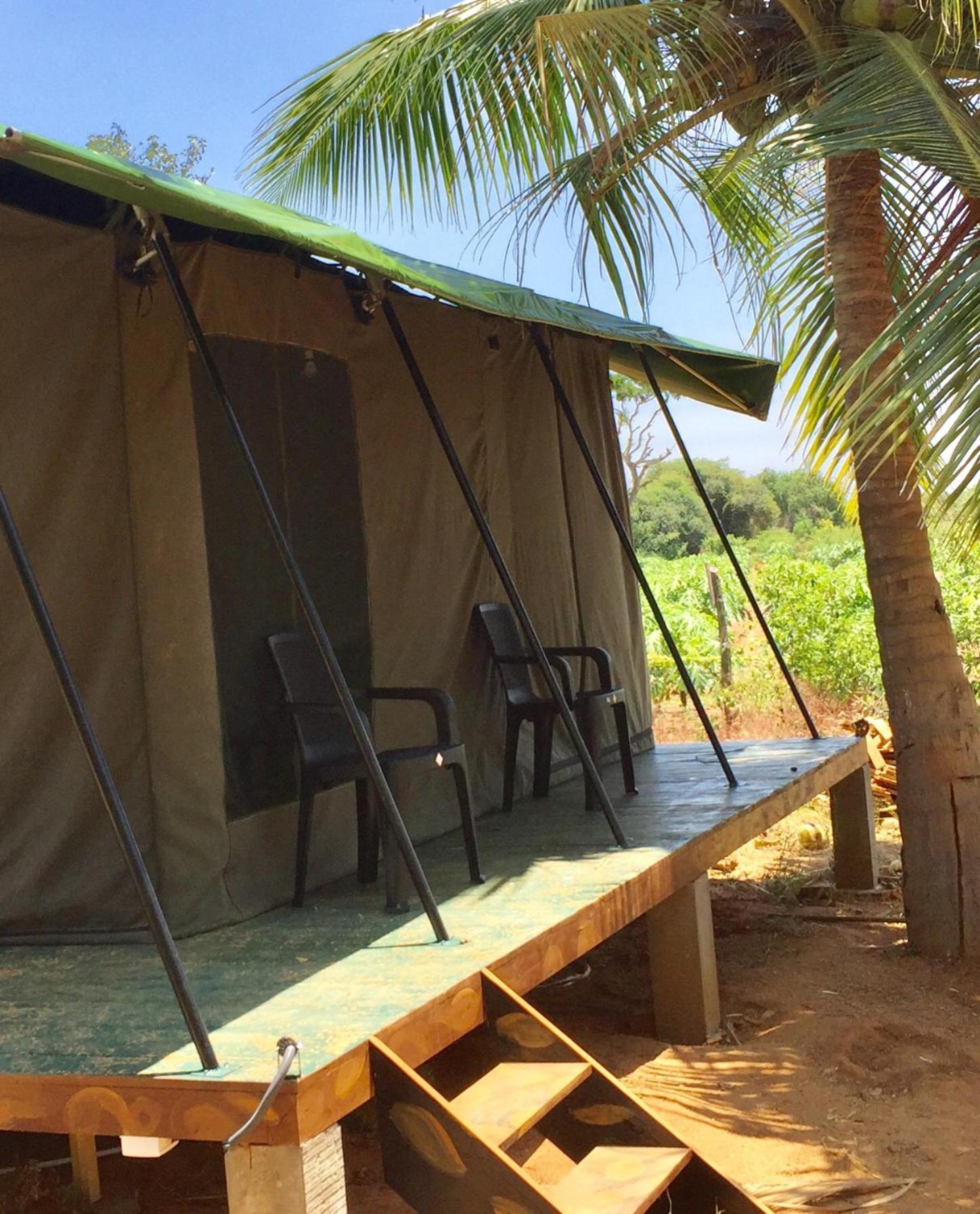 Отель Yala Eco Tree House New Тиссамахарама Экстерьер фото