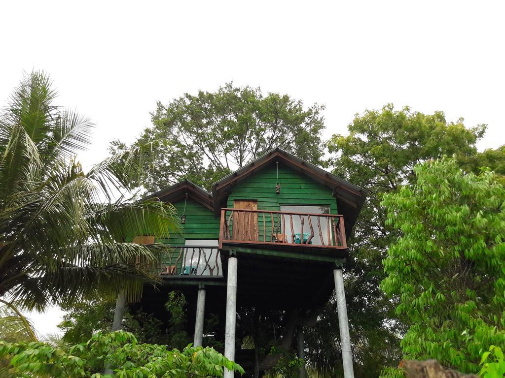 Отель Yala Eco Tree House New Тиссамахарама Экстерьер фото