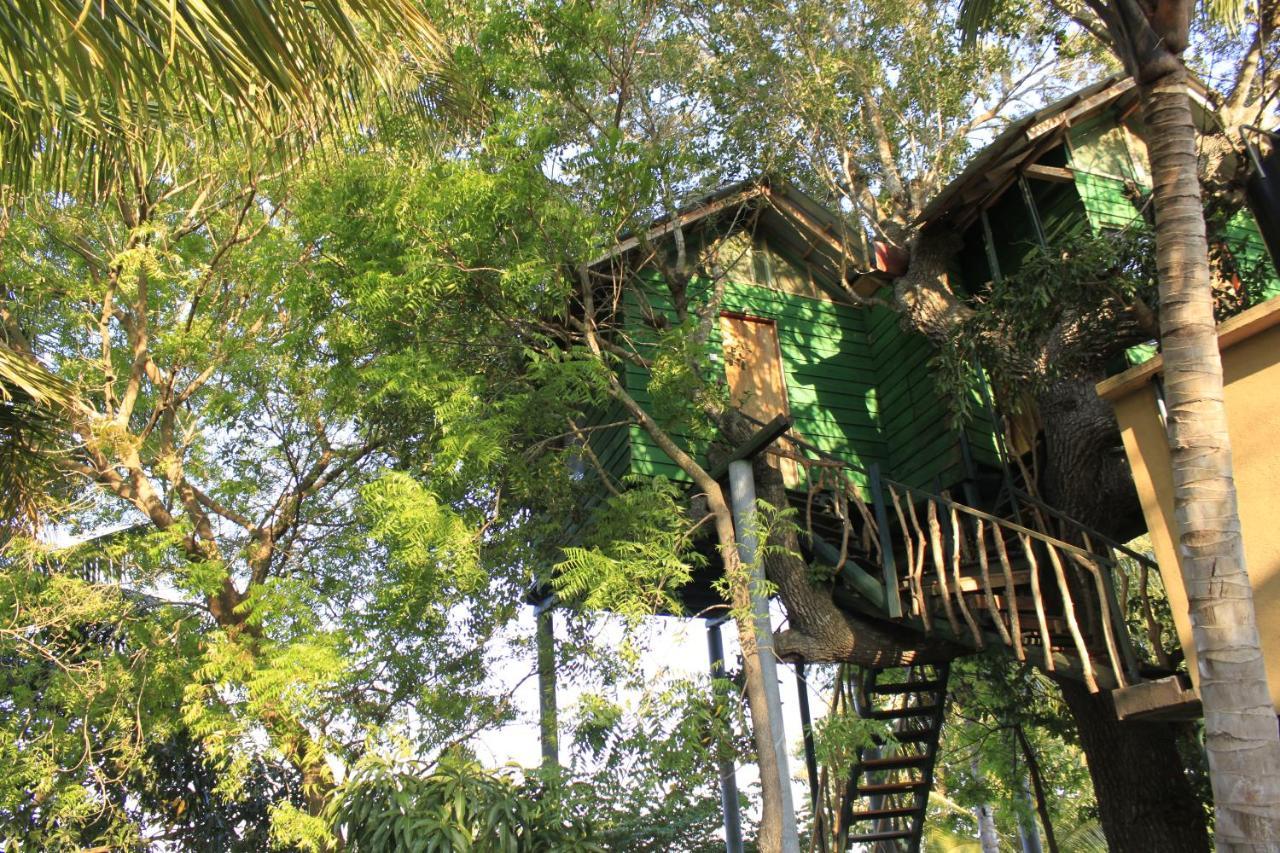 Отель Yala Eco Tree House New Тиссамахарама Экстерьер фото