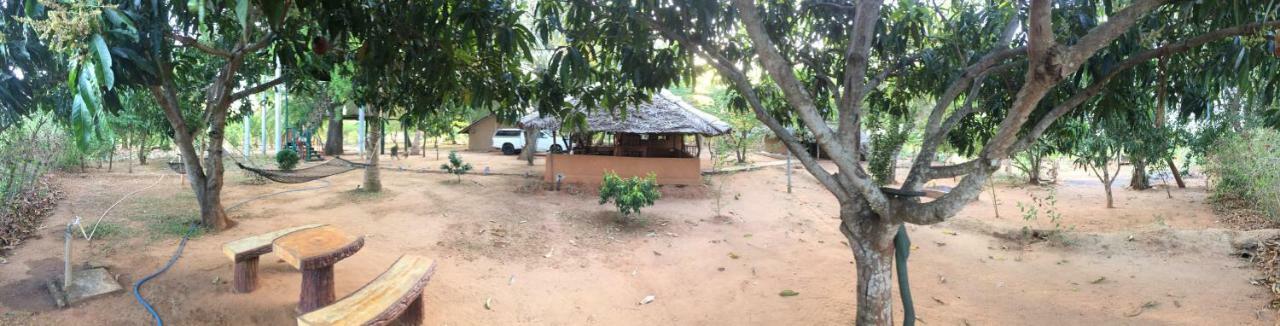 Отель Yala Eco Tree House New Тиссамахарама Экстерьер фото