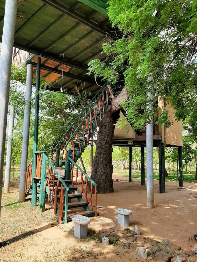 Отель Yala Eco Tree House New Тиссамахарама Экстерьер фото