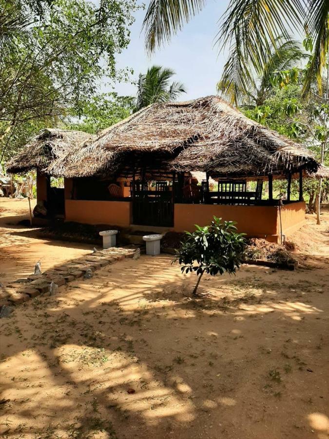 Отель Yala Eco Tree House New Тиссамахарама Экстерьер фото