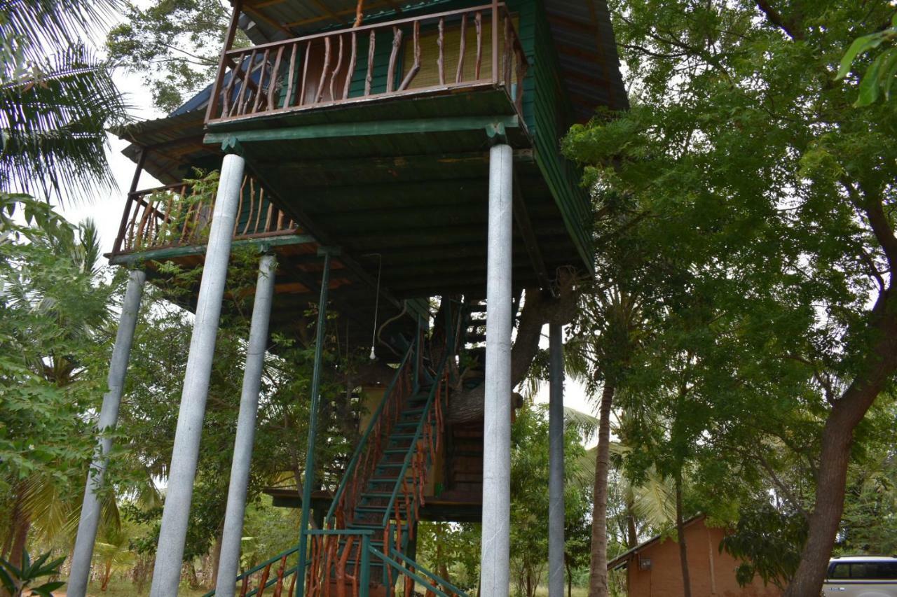 Отель Yala Eco Tree House New Тиссамахарама Экстерьер фото